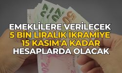 Emeklilere verilecek 5 bin liralık ikramiye 15 Kasım'a kadar hesaplarda olacak