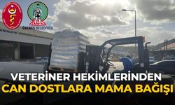 VETERİNER HEKİMLERİNDEN CAN DOSTLARA MAMA BAĞIŞI