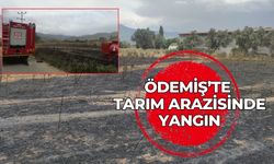 ÖDEMİŞ’TE TARIM ARAZİSİNDE YANGIN