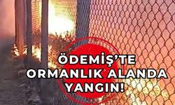 ÖDEMİŞ’TE ORMANLIK ALANDA YANGIN!