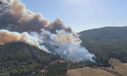 Selçuk Pamucak'ta Yangın!