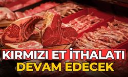 Kırmızı et ithalatı devam edecek