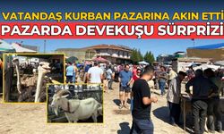 VATANDAŞ KURBAN PAZARINA AKIN ETTİ PAZARDA DEVEKUŞU SÜRPRİZİ