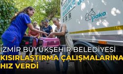 İzmir Büyükşehir Belediyesi kısırlaştırma çalışmalarına hız verdi