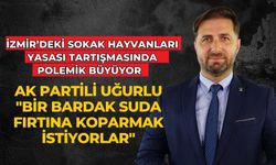 İzmir’deki Sokak Hayvanları Yasası Tartışmasında Polemik Büyüyor