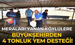 Meraları yanan köylülere büyükşehirden 4 tonluk yem desteği!