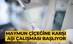 Maymun çiçeğine karşı aşı çalışması başlıyor