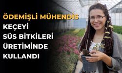 ÖDEMİŞLİ MÜHENDİS KEÇEYİ SÜS BİTKİLERİ ÜRETİMİNDE KULLANDI