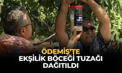 Ödemiş’te ekşilik böceği tuzağı dağıtıldı