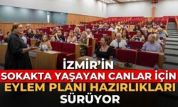 İzmir’in Sokakta yaşayan canlar için eylem planı hazırlıkları sürüyor