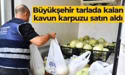 Büyükşehir tarlada kalan kavun karpuzu satın aldı