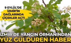 İzmir’de Yangın ormanından yüz güldüren haber