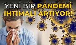 Yeni bir pandemi ihtimali artıyor!