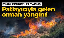 İzmir'i defineciler yakmış:  Patlayıcıyla gelen orman yangını!