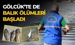 GÖLCÜK’TE DE BALIK ÖLÜMLERİ BAŞLADI