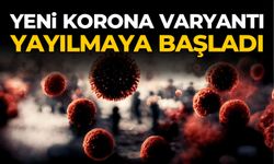 Yeni korona varyantı yayılmaya başladı