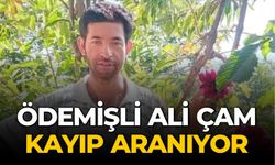 ÖDEMİŞLİ ALİ ÇAM KAYIP ARANIYOR