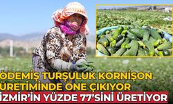 ÖDEMİŞ TURŞULUK KORNİŞON ÜRETİMİNDE ÖNE ÇIKIYOR İZMİR’İN YÜZDE 77’SİNİ ÜRETİYOR