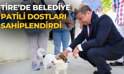 Tire’de belediye patili dostları sahiplendirdi