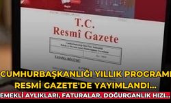 Cumhurbaşkanlığı Yıllık Programı Resmi Gazete'de yayımlandı... Emekli aylıkları, faturalar, doğurganlık hızı...