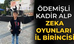 ÖDEMİŞLİ KADİR ALP ZEKA OYUNLARI İL BİRİNCİSİ