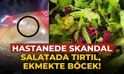 Hastanede skandal Salatada tırtıl, ekmekte böcek!