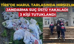 Tire’de Marul Tarlasında Hırsızlık Jandarma suç üstü yakaladı 3 Kişi Tutuklandı