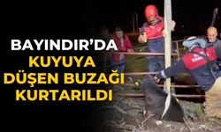 Bayındır’da kuyuya düşen buzağı kurtarıldı