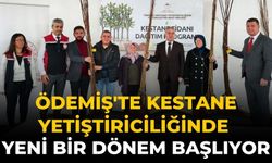 Ödemiş'te kestane yetiştiriciliğinde yeni bir dönem başlıyor