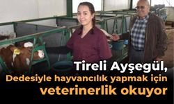 Tireli Ayşegül, Dedesiyle hayvancılık yapmak için veterinerlik okuyor