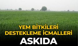 YEM BİTKİLERİ DESTEKLEME İCMALLERİ ASKIDA