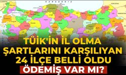 TÜİK'in il olma şartlarını karşılıyan 24 ilçe belli oldu Ödemiş var mı?