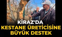 Kiraz'da Kestane Üreticisine Büyük Destek