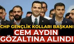 CHP Gençlik Kolları Başkanı Cem Aydın gözaltına alındı.