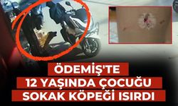 Ödemiş'te 12 yaşında çocuğu sokak köpeği ısırdı