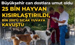 Büyükşehir can dostlara umut oldu