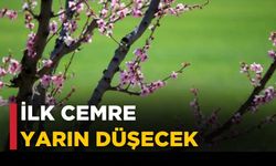 İlk cemre yarın düşecek