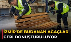 İzmir'de Budanan ağaçlar geri dönüştürülüyor