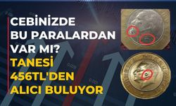 Cebinizde bu paralardan var mı? Tanesi 456 TL'den alıcı buluyor