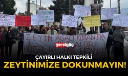 ÇAYIRLI HALKI TEPKİLİ: ZEYTİNLERİMİZE DOKUNMAYIN