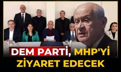 DEM Parti, MHP'yi ziyaret edecek