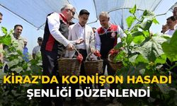 Kiraz'da Kornişon Hasadı Şenliği Düzenlendi