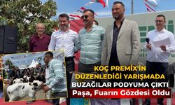 KOÇ PREMİX'İN DÜZENLEDİĞİ YARIŞMADA BUZAĞILAR PODYUMA ÇIKTI Paşa, Fuarın Gözdesi Oldu
