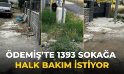 ÖDEMİŞ’te 1393 SOKAĞA HALK BAKIM İSTİYOR