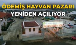 Ödemiş Hayvan Pazarı Yeniden Açılıyor