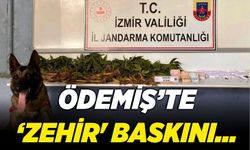 Ödemiş'te 'zehir' baskını...