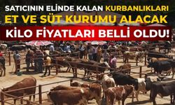 Satıcının elinde kalan kurbanlıkları Et ve Süt Kurumu alacak Kilo fiyatları belli oldu!