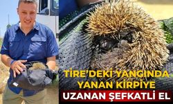 Tire’deki yangında Yanan kirpiye uzanan şefkatli el