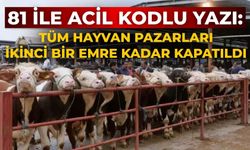 81 ile acil kodlu yazı: Tüm hayvan pazarları ikinci bir emre kadar kapatıldı