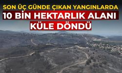 Son üç günde çıkan yangınlarda 10 bin hektarlık alanı küle döndü